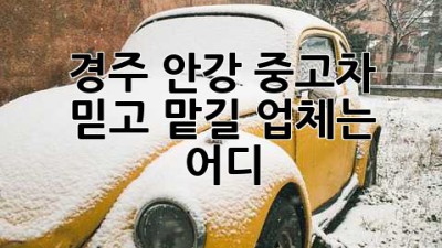 경주 안강 중고차, 믿고 맡길 업체는 어디? 🚗💨