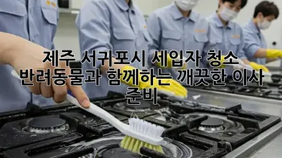 제주 서귀포시 세입자 청소: 반려동물과 함께하는 깨끗한 이사 준비